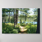 poster "Pad naar het meer" (Voorkant)