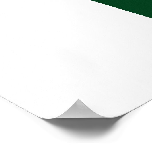 Poster Pakistaanse vlag (Hoek)