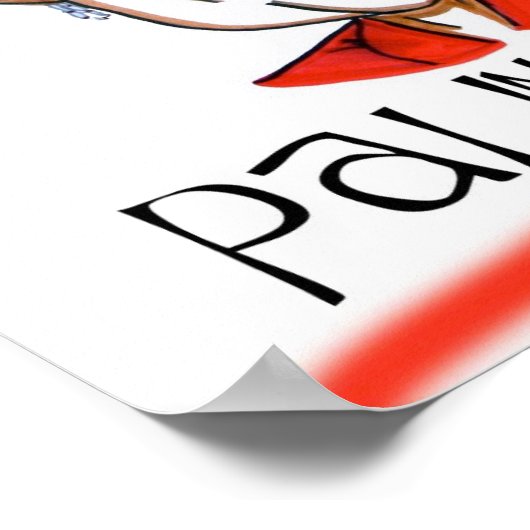 Poster Palin Power (Hoek)