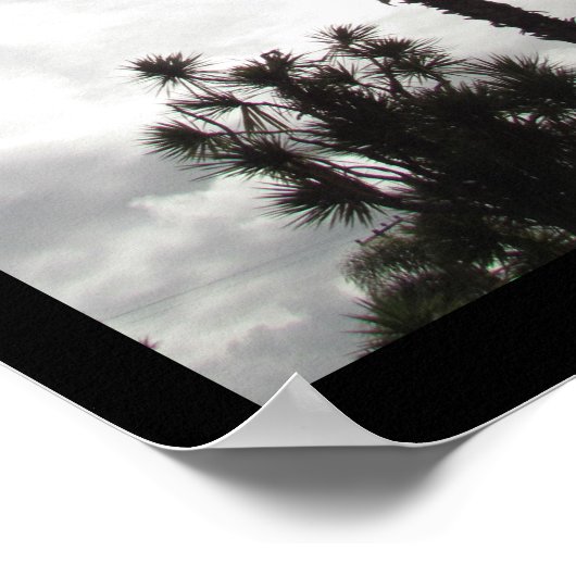 Poster - Palm Tree Silhouette (Hoek)