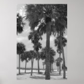Poster Palm Trees (Voorkant)