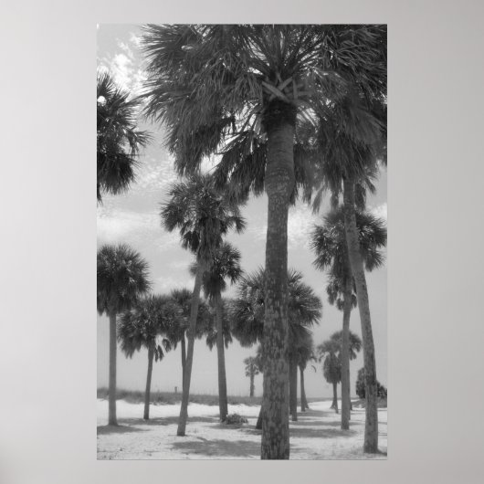 Poster Palm Trees (Voorkant)