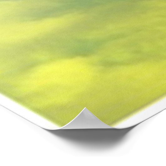 Poster palmbomen (Hoek)