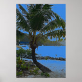 poster palmboom (Voorkant)