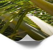 Poster palmboom/canvasafdruk (Hoek)