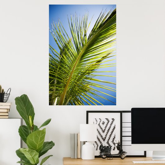 Poster palmboom/canvasafdruk (Thuiskantoor)