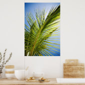 Poster palmboom/canvasafdruk (Keuken)
