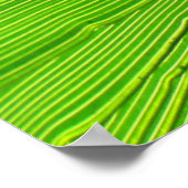 Poster - Palmrond in de zon (Hoek)