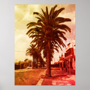  Poster palmstructuur