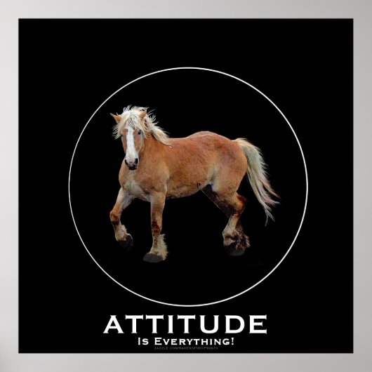 Poster Palomino Belgisch conceptpaard ATTITUDE (Voorkant)