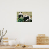 Poster Pandas (3) (Keuken)