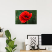 Poster - Papaver Elegantie (Thuiskantoor)