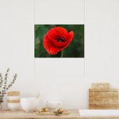 Poster - Papaver Elegantie (Keuken)