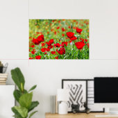 poster papaverveld (Thuiskantoor)