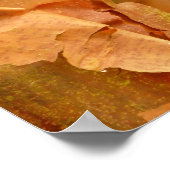 Poster Paperbark Maple (Hoek)