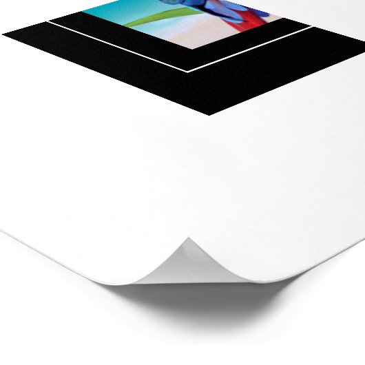 Poster-Parrot Poster (Hoek)