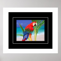 Poster-Parrot