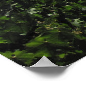 Poster Paso Robles Wine Land (Hoek)