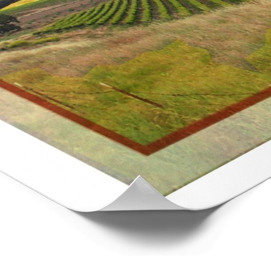 Poster Paso Robles Wine Land (Hoek)