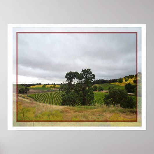 Poster Paso Robles Wine Land (Voorkant)