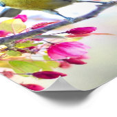 Poster Passaro Colorido (Hoek)