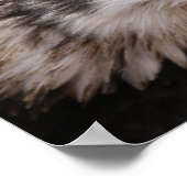 Poster patriottisch Afbeelding Eagle (Hoek)