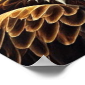 Poster patriottisch Eagle (Hoek)