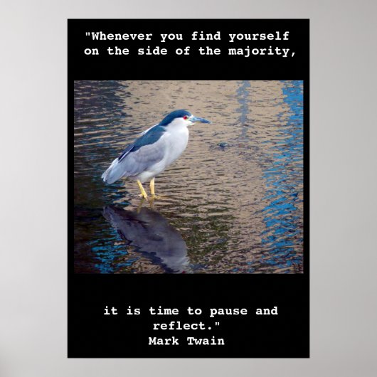 Poster, pauze en reflecteer Hawaiian Water Bird Poster (Voorkant)