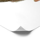  Poster Peacock (Hoek)