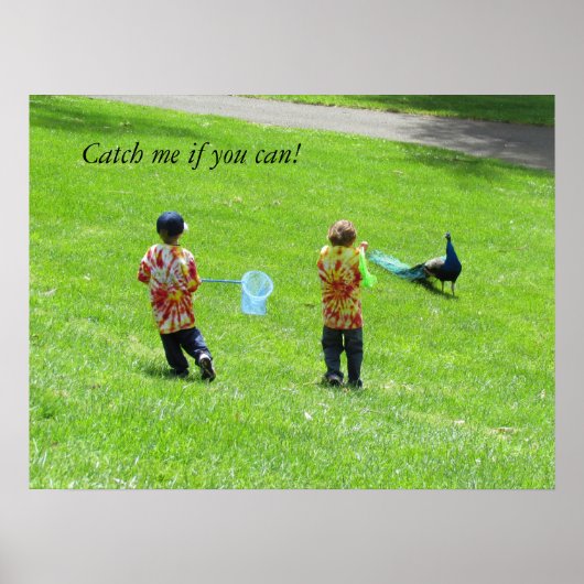 Poster - Peacock Hunters (Voorkant)