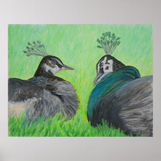 Poster PEACOCK-LOVE (Voorkant)