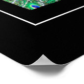 Poster-Peacock Poster (Hoek)