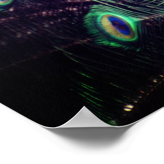 Poster Peacock - R - 0614 (Hoek)