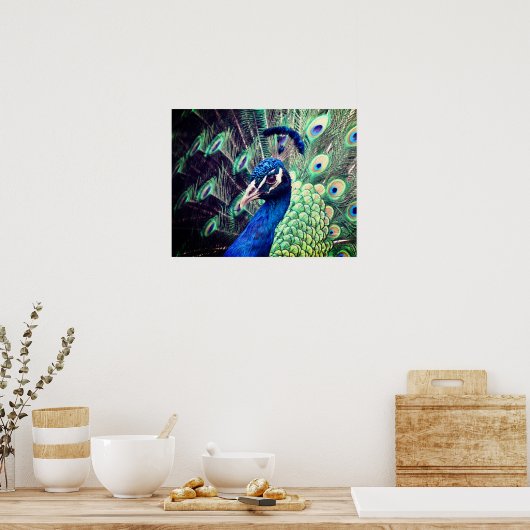 Poster Peacock - R - 0614 (Keuken)