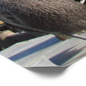 Poster - Pelikanen op papier (Hoek)