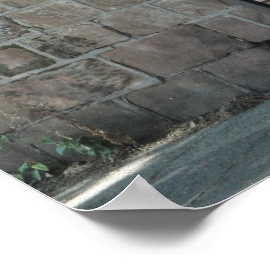 Poster - Penny Lane (Hoek)