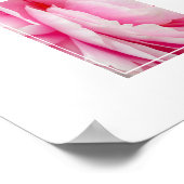 Poster-Peony Flower Poster (Hoek)