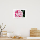 Poster-Peony Flower Poster (Keuken)