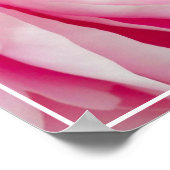 Poster-Peony Flower Poster (Hoek)