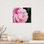 Poster-Peony Flower Poster (Keuken)