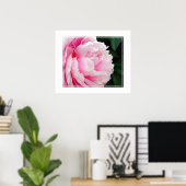 Poster-Peony Flower Poster (Thuiskantoor)