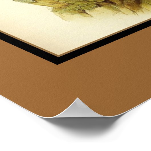 Poster  peregrine valk vogels (Hoek)