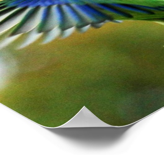 POSTER PERIQUITO TUIM 1 (Hoek)