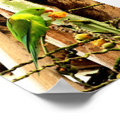 POSTER PERIQUITO VERDE 8 (Hoek)