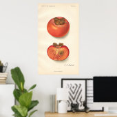  Poster Persimmon (Thuiskantoor)