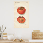  Poster Persimmon (Keuken)