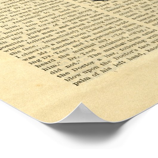 Poster  Pet Mustache in de krant (Hoek)