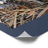 Poster Pinecones (Hoek)