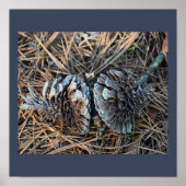 Poster Pinecones (Voorkant)