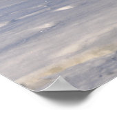 Poster pinguïns (Hoek)